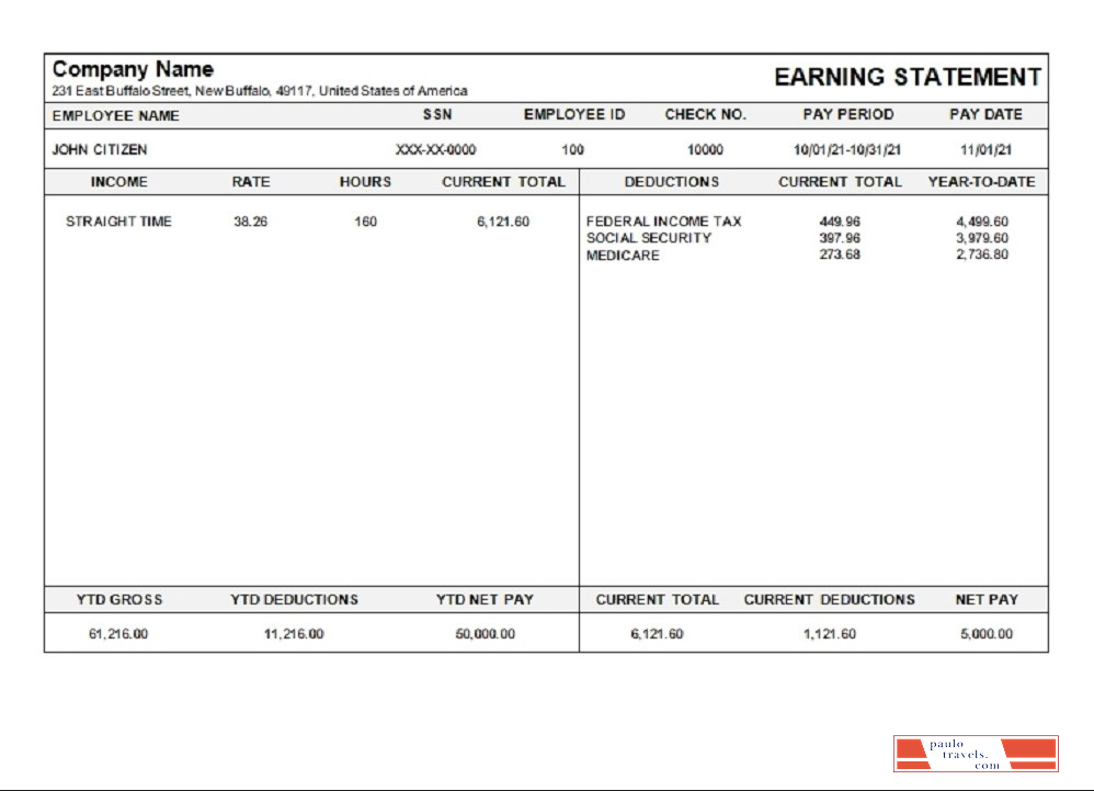 USA Michigan pay stub